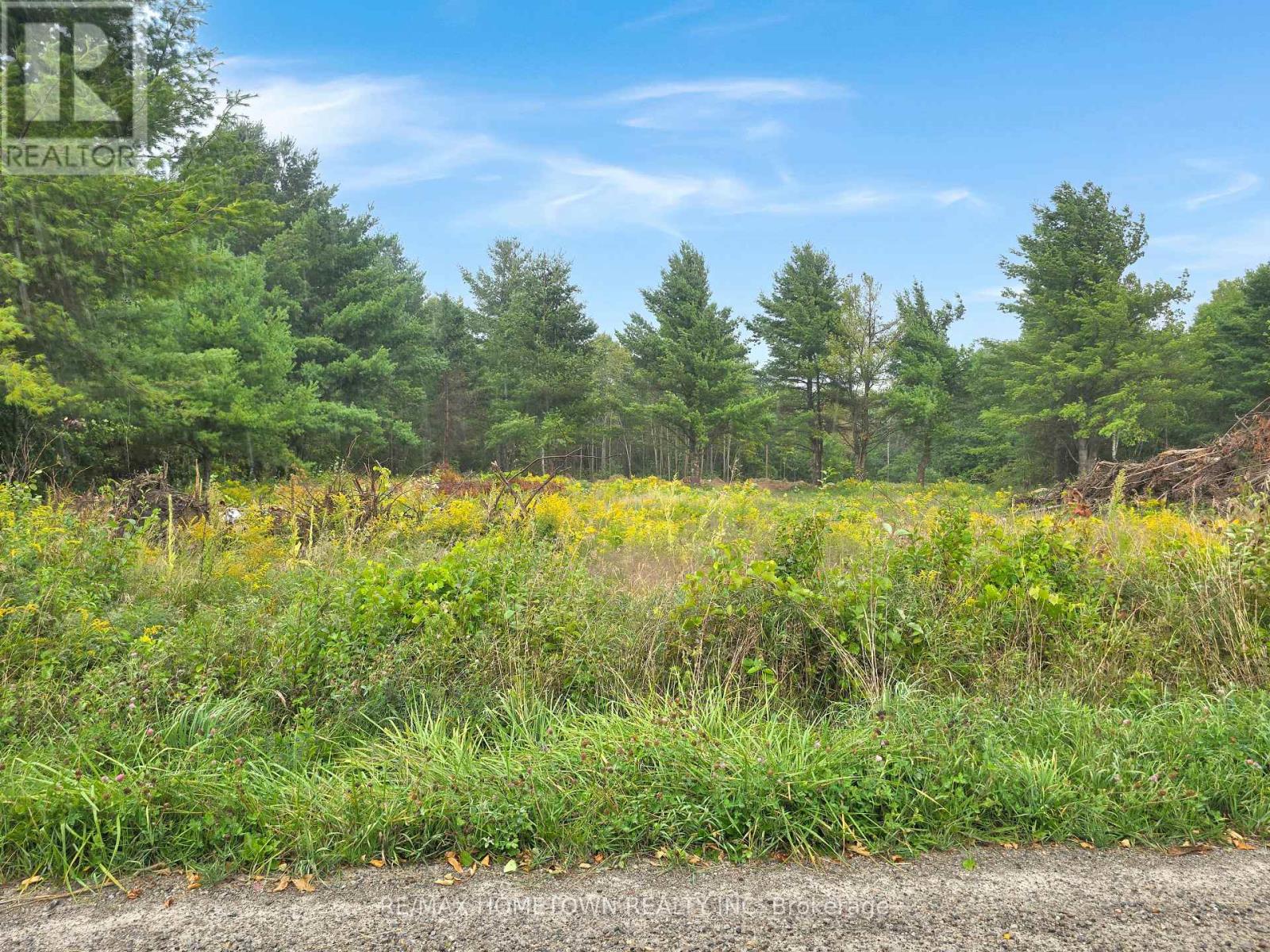 0 Best Road, Drummond/north Elmsley, Ontario K7A 4S4 - Photo 5 - X13695532
