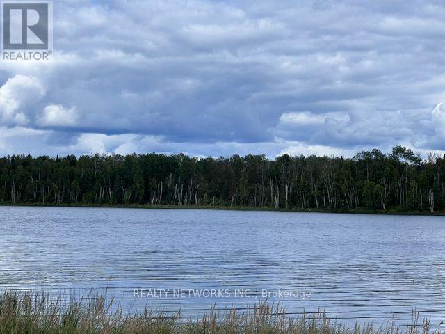 Lot 23 Concession 11 Road, Cochrane, Ontario  P0L 1C0 - Photo 3 - T13694108