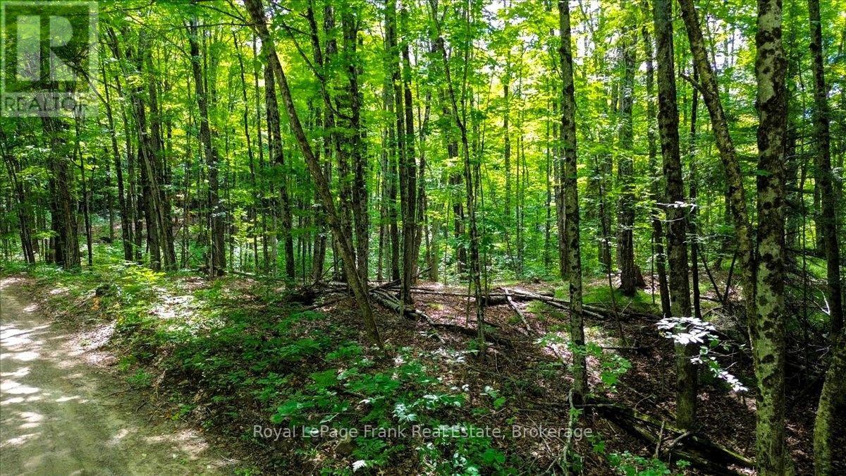 0 North Rusaw Road, North Kawartha, Ontario  K0L 1A0 - Photo 8 - X13693560