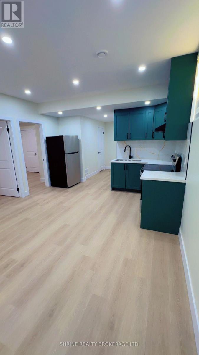 Basement - 3843 Petalpath Way, London South, Ontario  N6P 0K2 - Photo 7 - X13695904