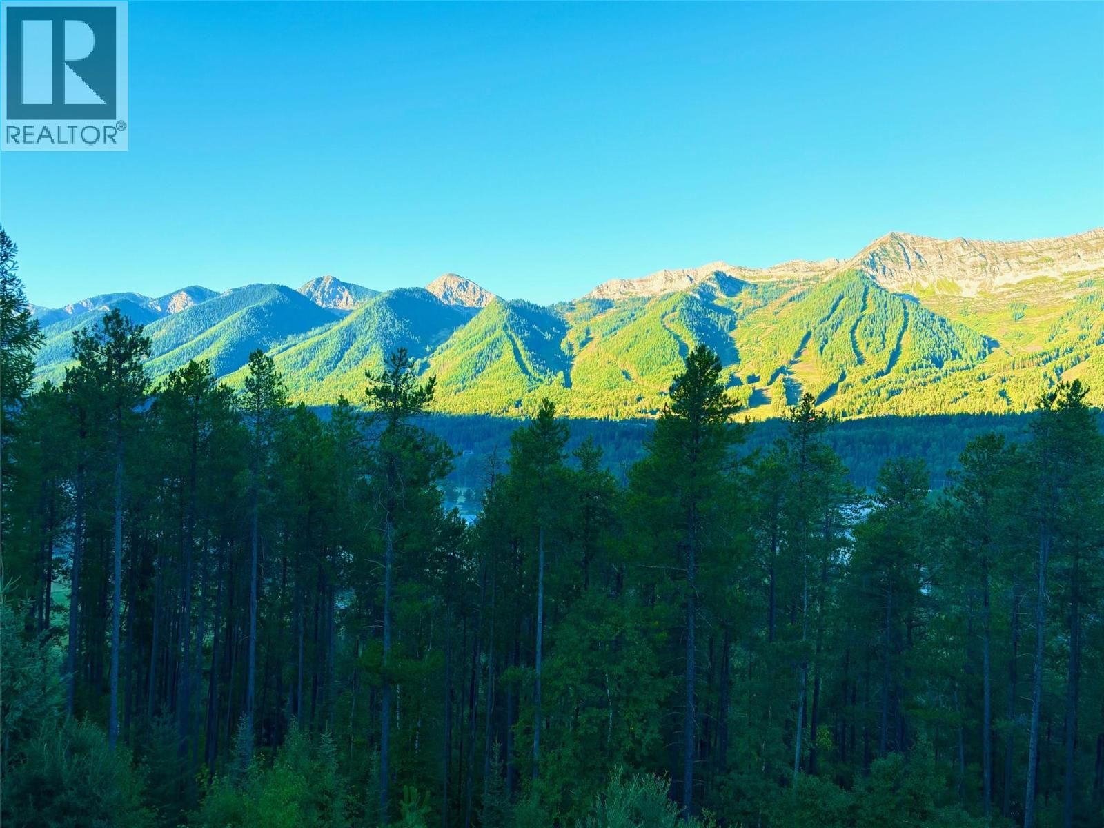 3934 Cokato Road, Fernie, British Columbia  V0B 1M4 - Photo 52 - 10396170