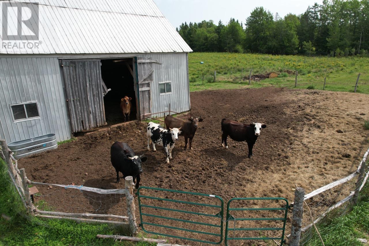 1451 Hansford Road, Oxford, Nova Scotia  B0N 2J0 - Photo 11 - 202621091