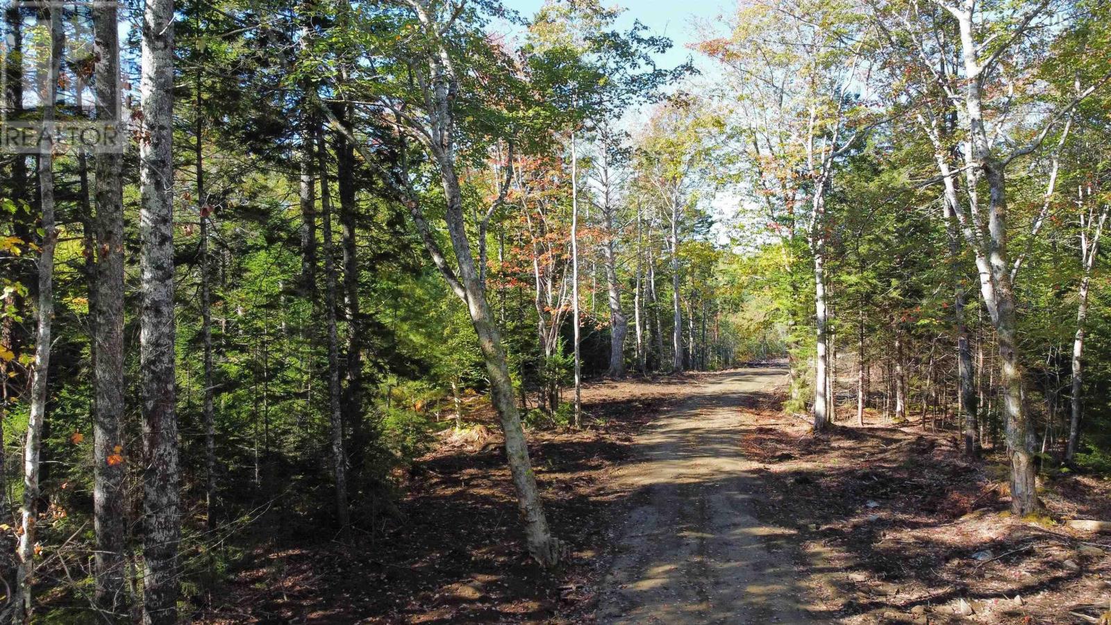 Lot Highway 308, Bell Neck, Nova Scotia  B0W 3M0 - Photo 10 - 202621094