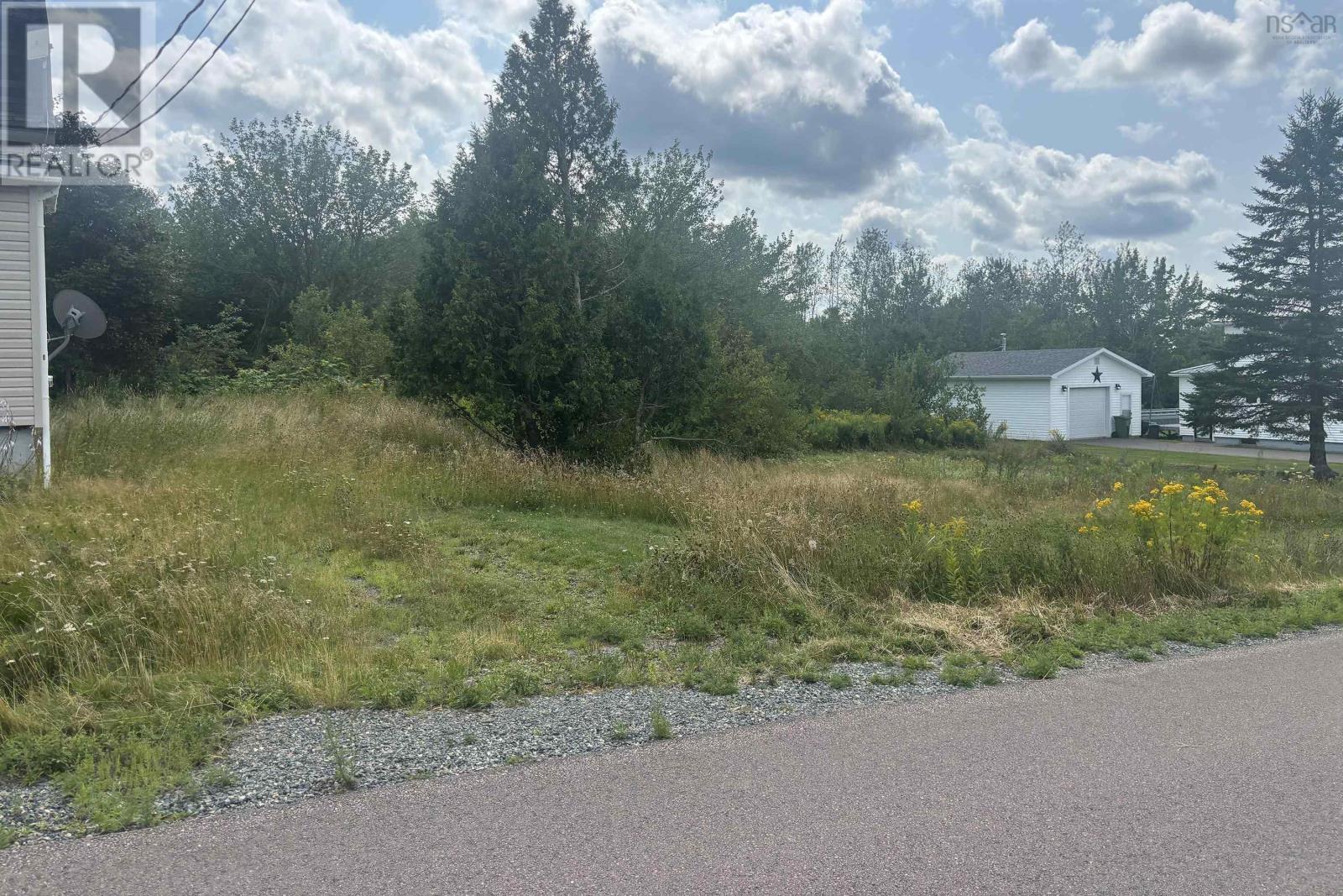 4 Starr Street, Springhill, Nova Scotia  B0M 1X0 - Photo 5 - 202620264