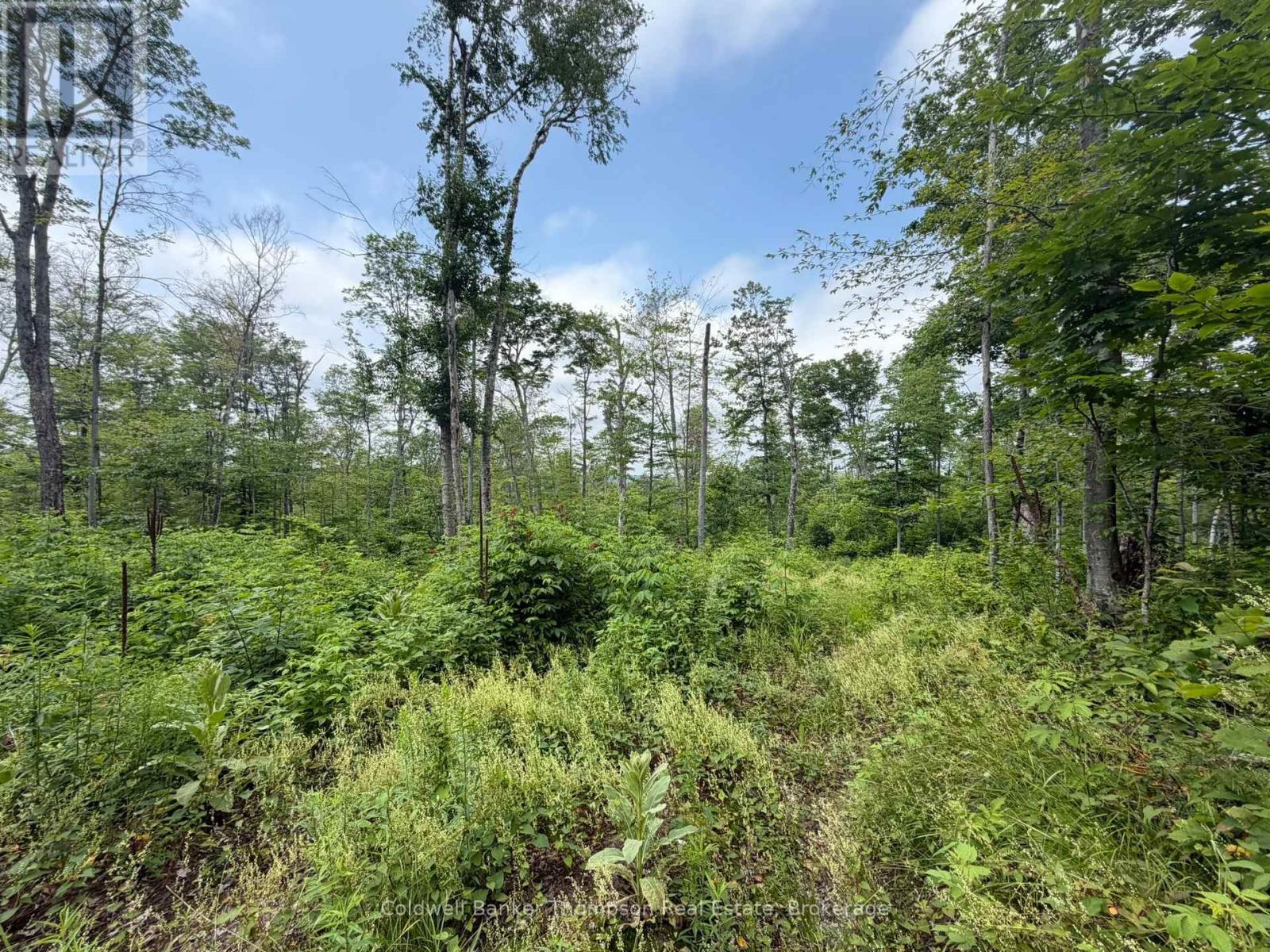 Lot 10 Con 3  Gurd Twp Rye Road/granite Hill Road, Nipissing, Ontario  P0A 1X0 - Photo 10 - X13696102