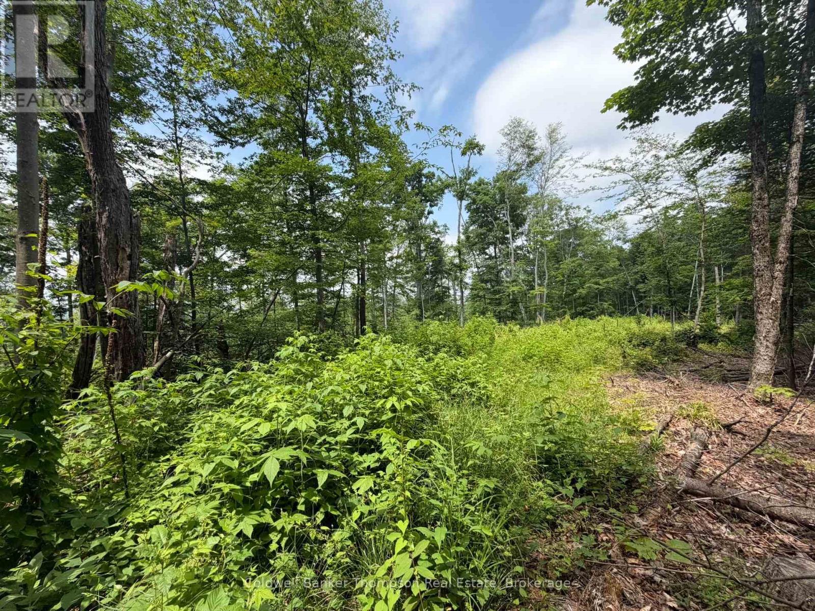 Lot 10 Con 3  Gurd Twp Rye Road/granite Hill Road, Nipissing, Ontario  P0A 1X0 - Photo 12 - X13696102