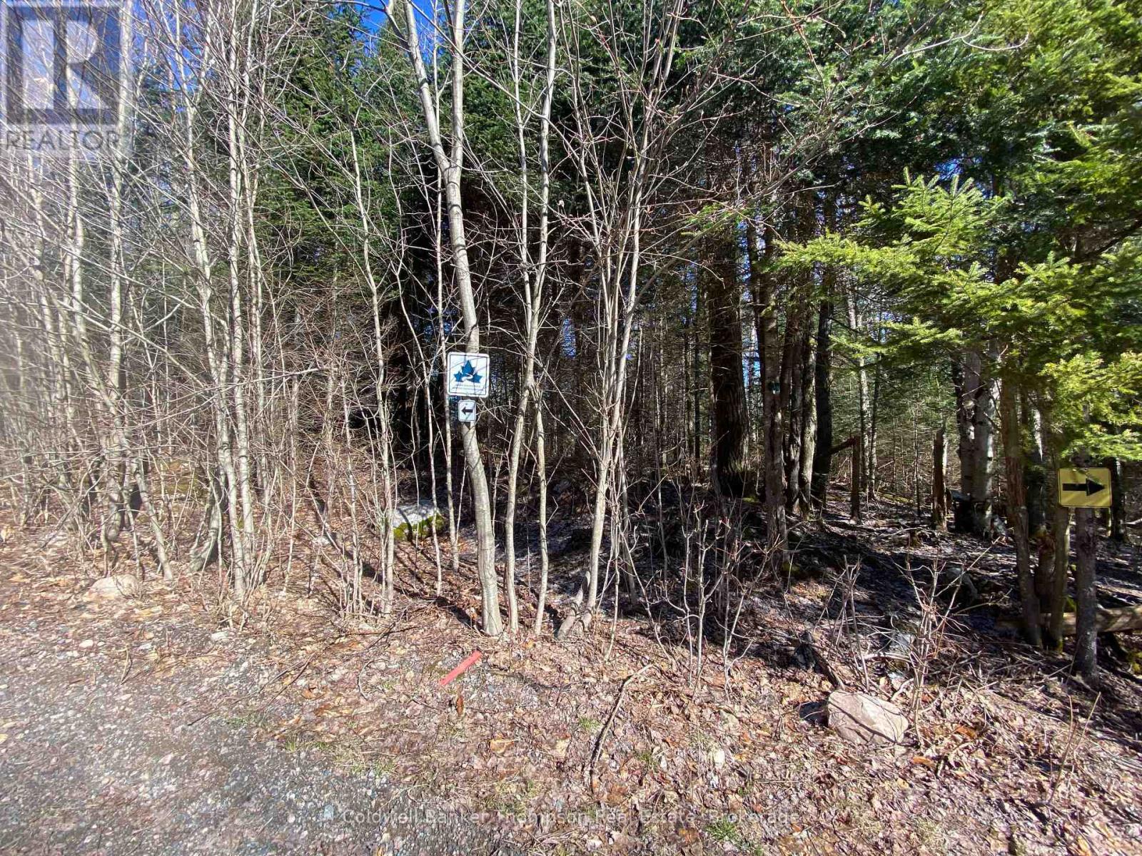 Lot 10 Con 3  Gurd Twp Rye Road/granite Hill Road, Nipissing, Ontario  P0A 1X0 - Photo 18 - X13696102