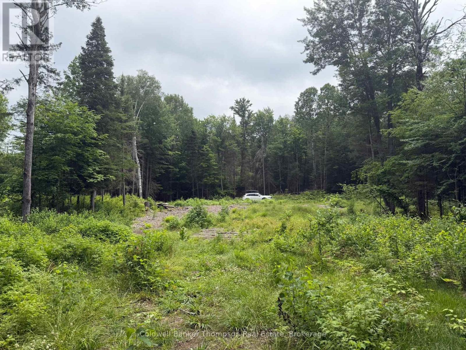 Lot 10 Con 3  Gurd Twp Rye Road/granite Hill Road, Nipissing, Ontario  P0A 1X0 - Photo 6 - X13696102
