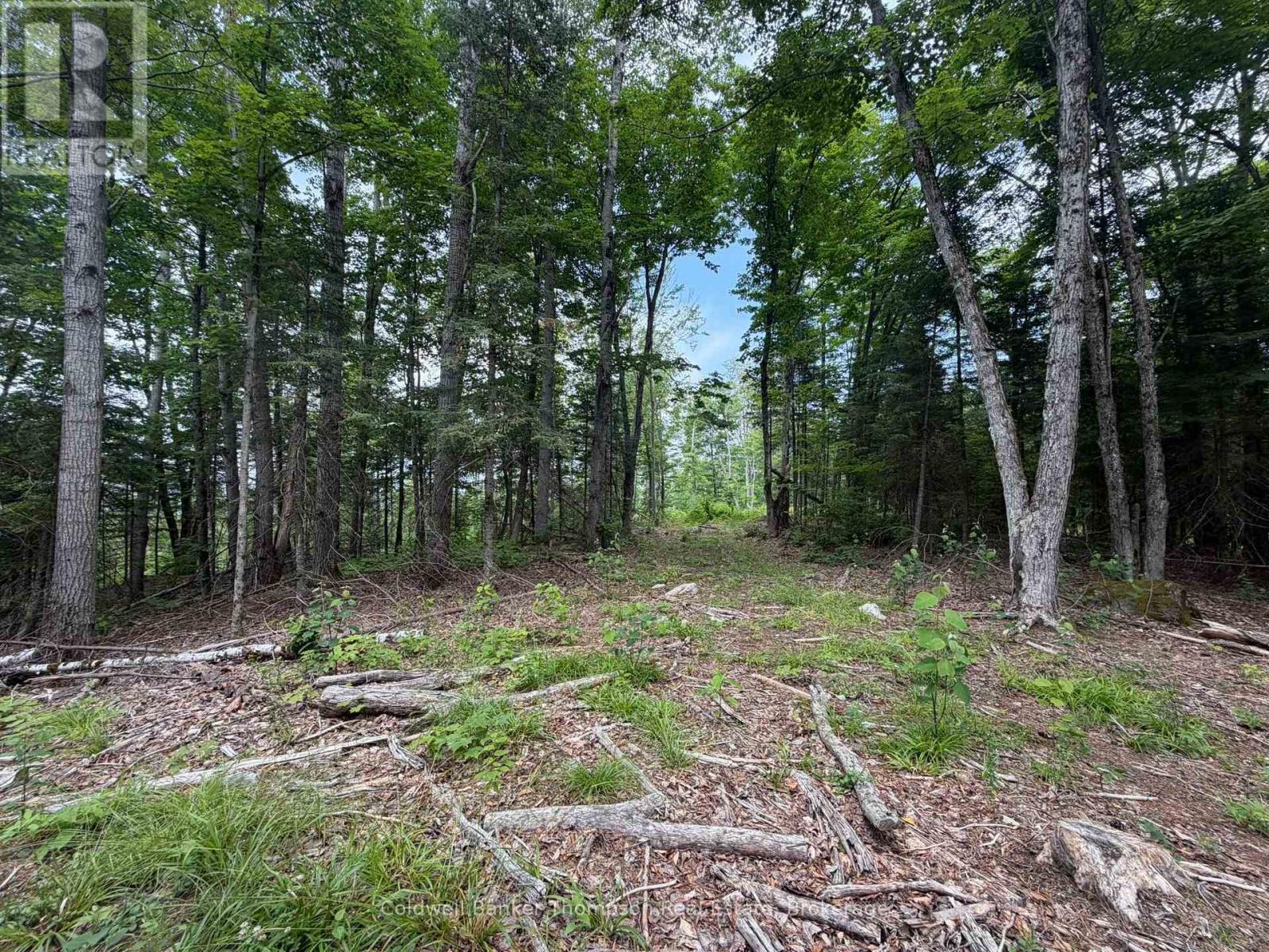 Lot 10 Con 3  Gurd Twp Rye Road/granite Hill Road, Nipissing, Ontario  P0A 1X0 - Photo 8 - X13696102