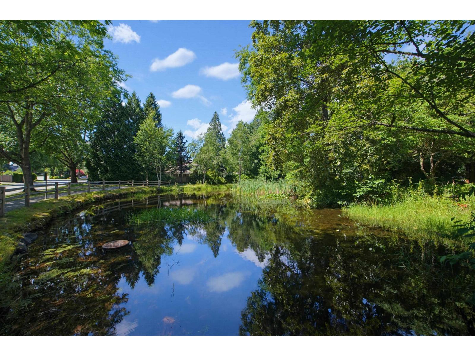 10482 Ashdown Place, Surrey, British Columbia  V4N 1W6 - Photo 34 - R3142810