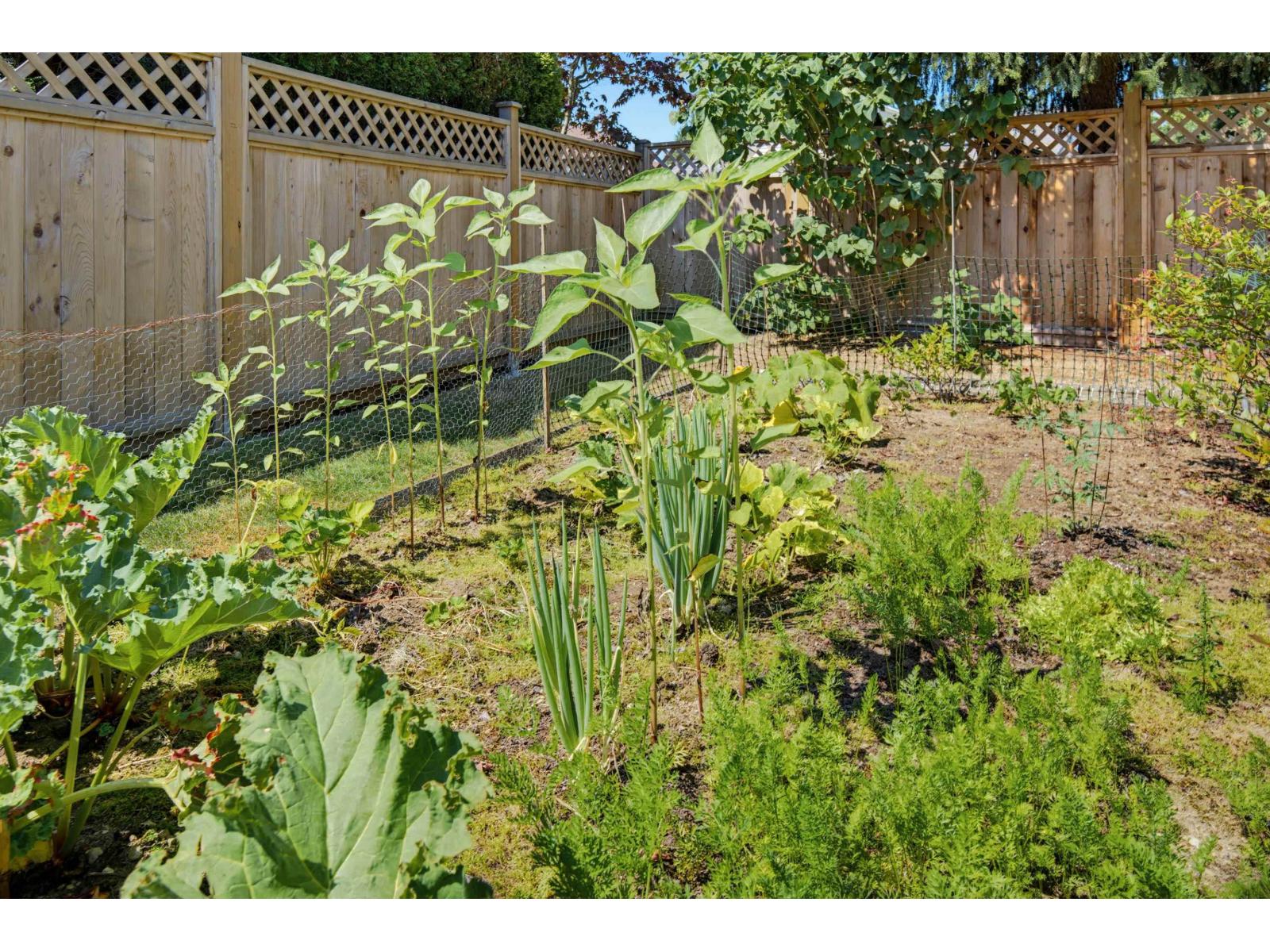 9275 155 Street, Surrey, British Columbia  V3R 9B3 - Photo 37 - R3157096