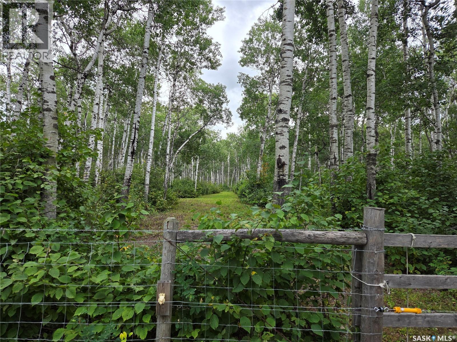 Reine Acreage, Tisdale Rm No. 427, Saskatchewan  S0E 1T0 - Photo 50 - SK046106