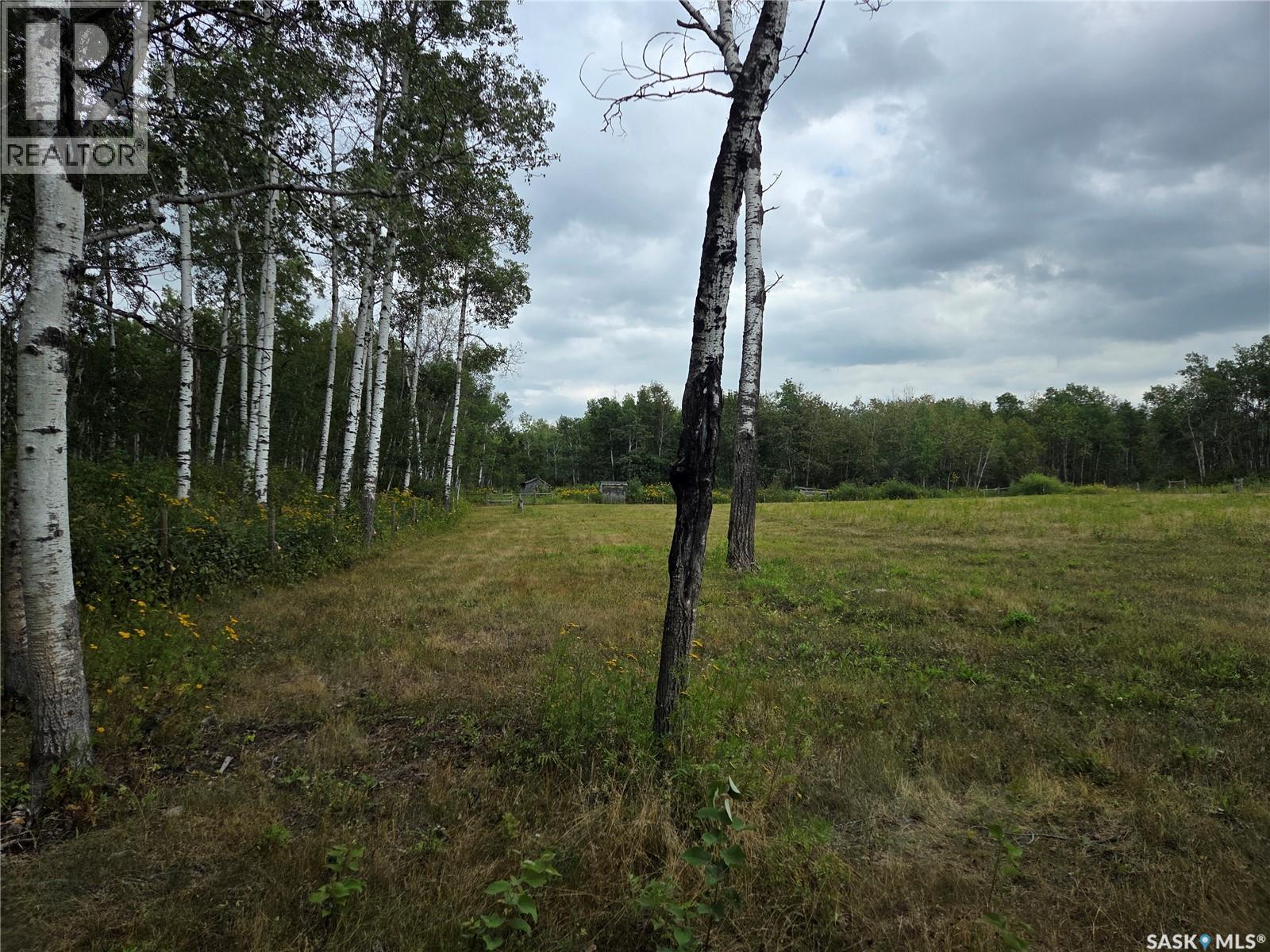 Reine Acreage, Tisdale Rm No. 427, Saskatchewan  S0E 1T0 - Photo 51 - SK046106