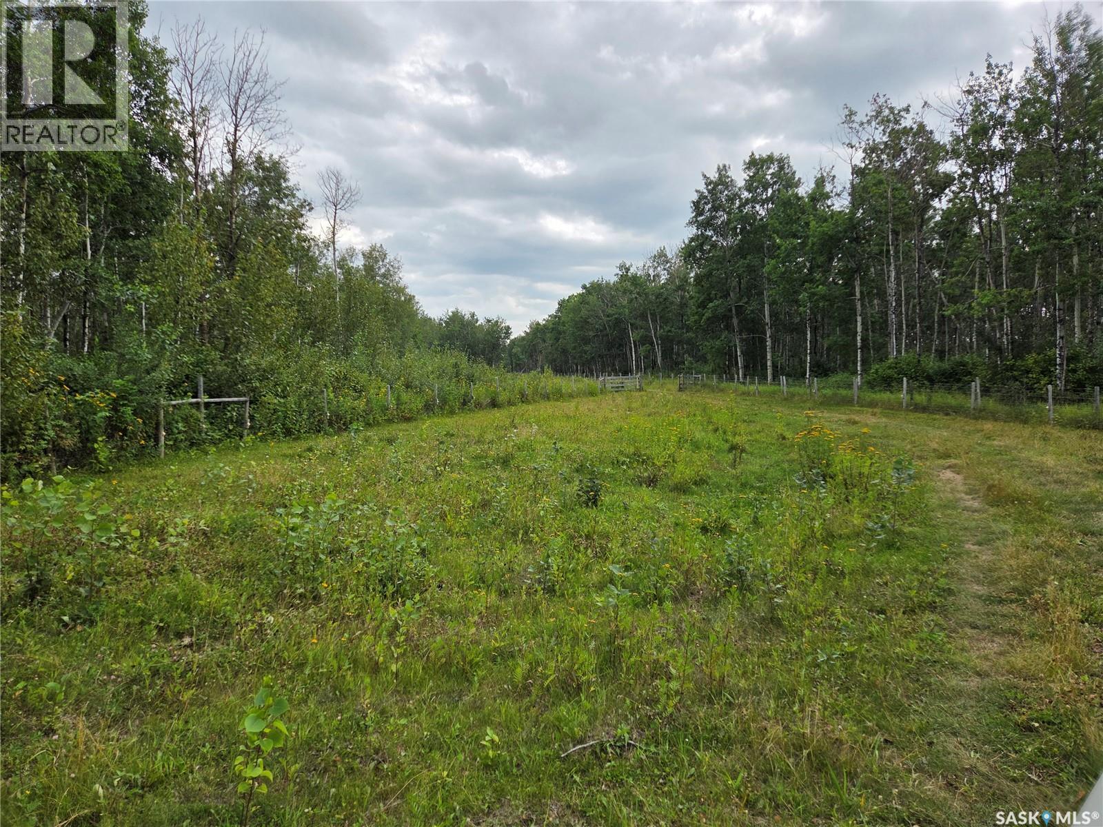 Reine Acreage, Tisdale Rm No. 427, Saskatchewan  S0E 1T0 - Photo 52 - SK046106