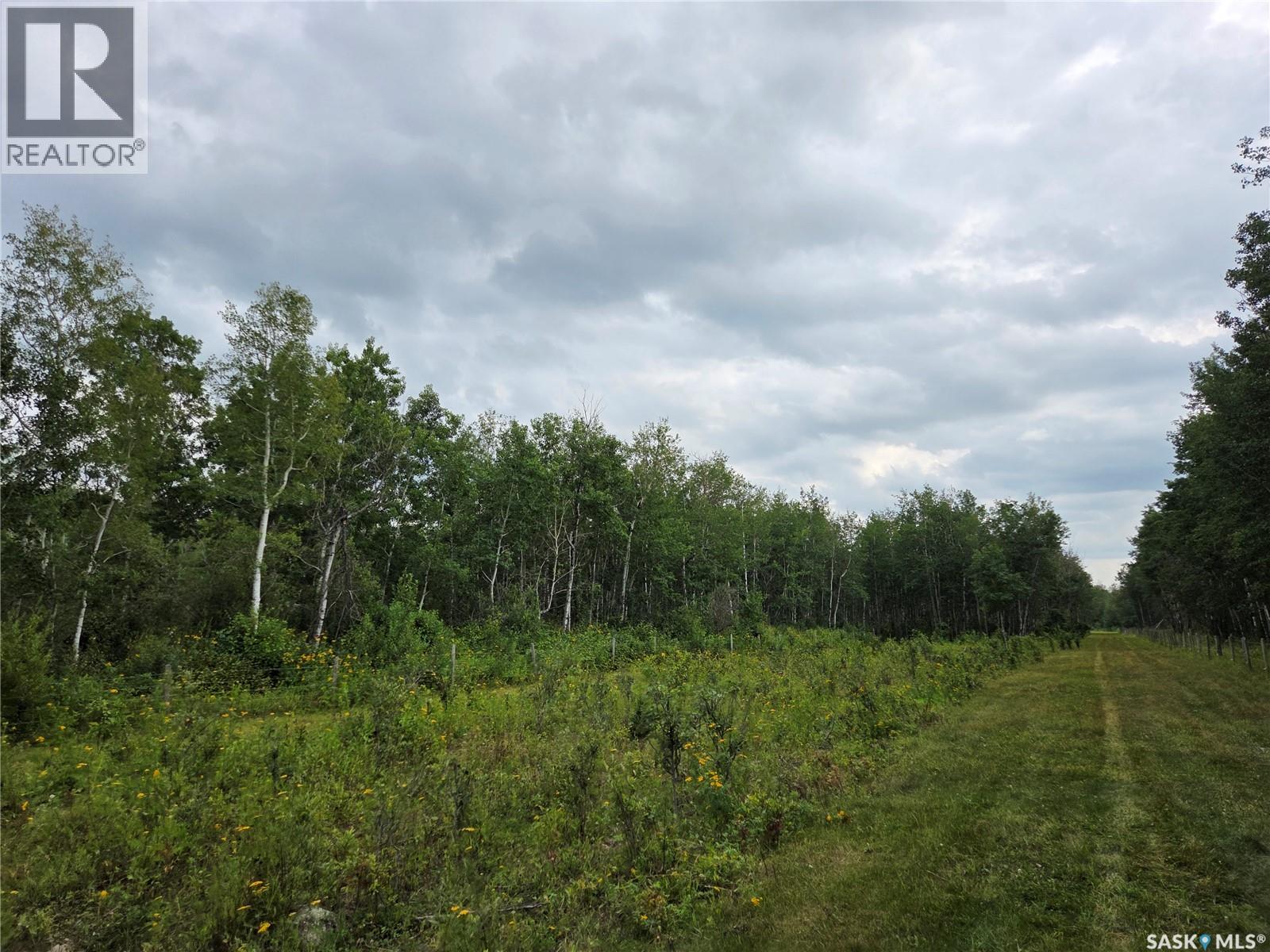 Reine Acreage, Tisdale Rm No. 427, Saskatchewan  S0E 1T0 - Photo 53 - SK046106