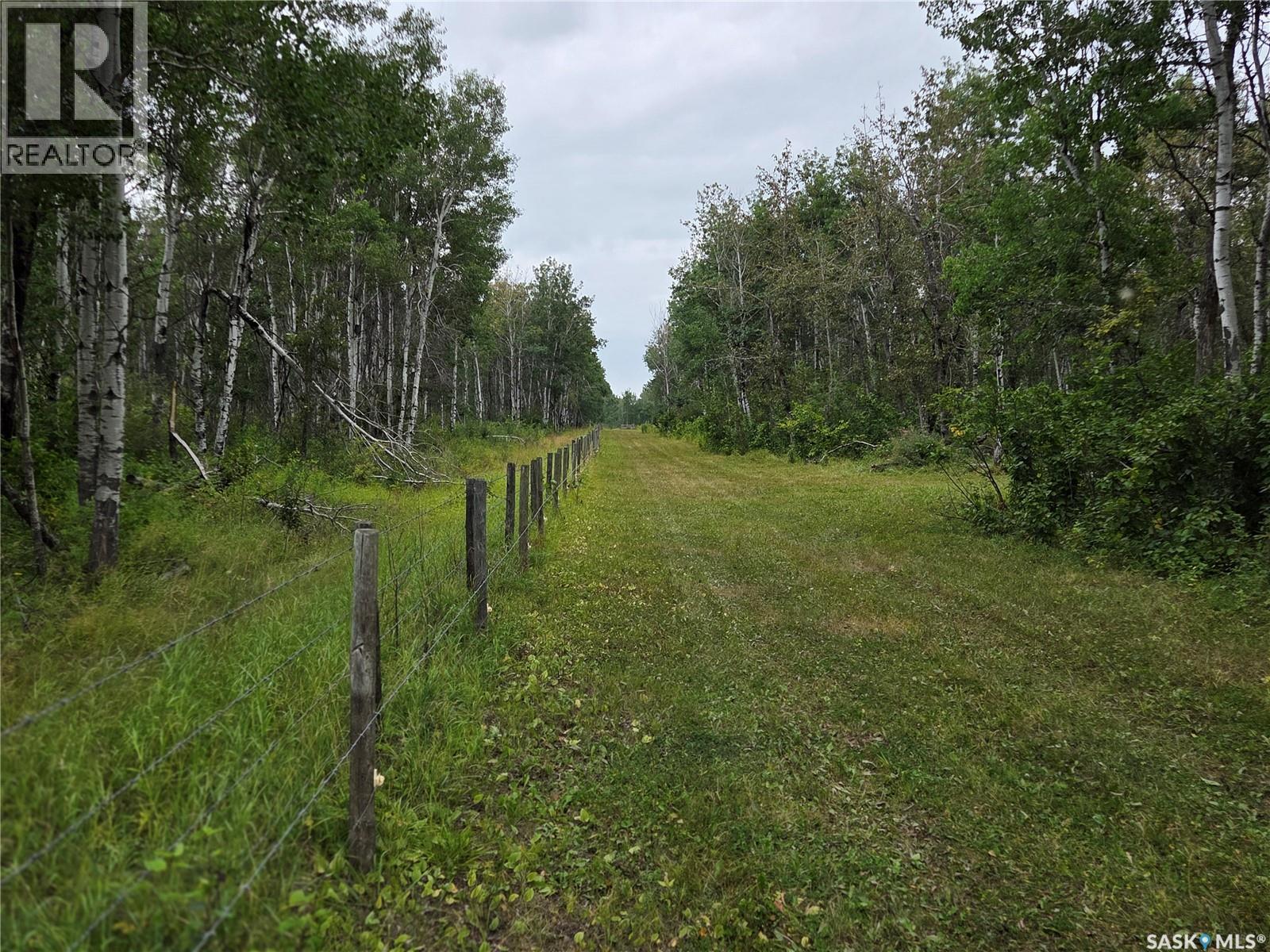Reine Acreage, Tisdale Rm No. 427, Saskatchewan  S0E 1T0 - Photo 57 - SK046106