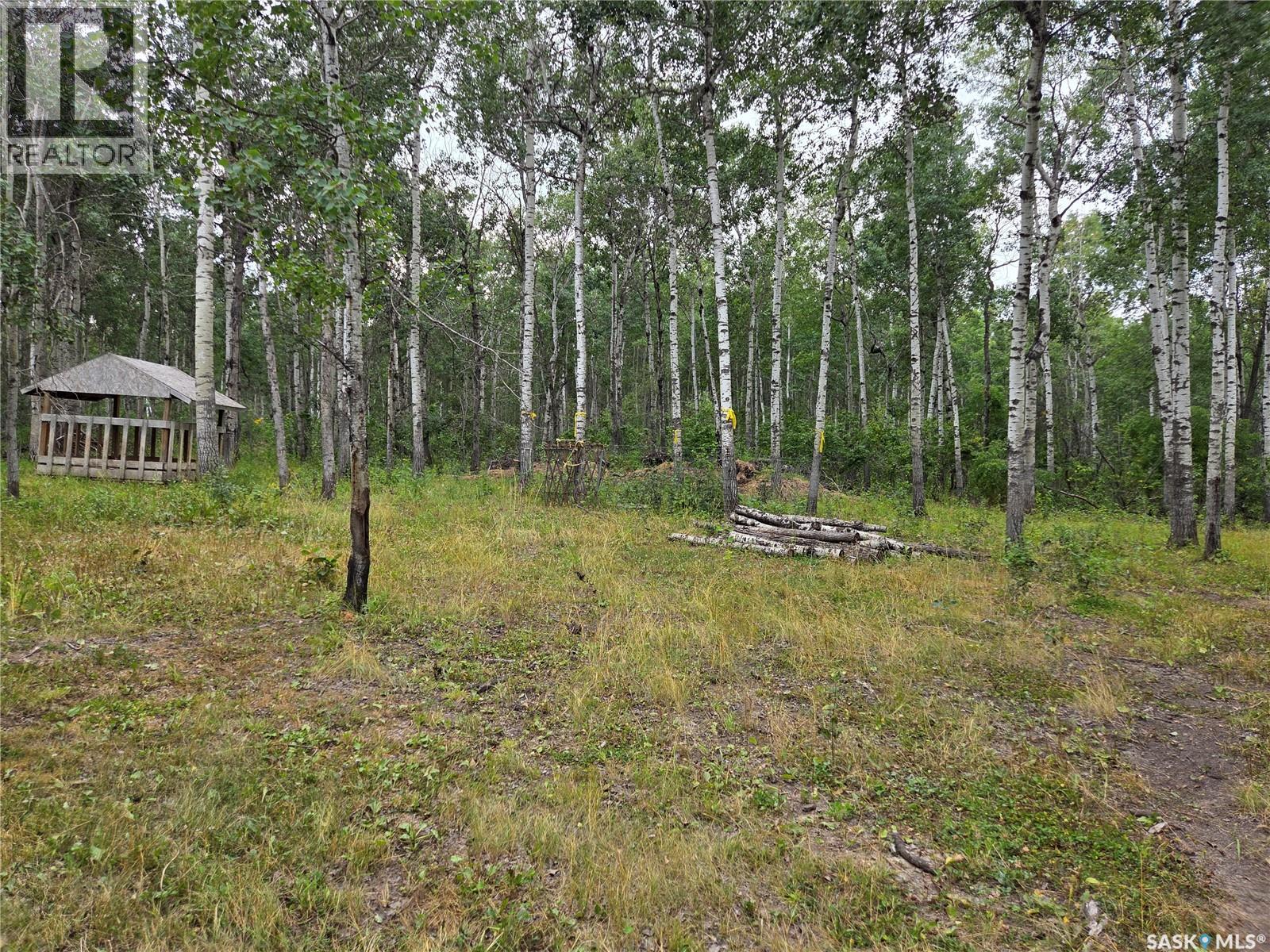 Reine Acreage, Tisdale Rm No. 427, Saskatchewan  S0E 1T0 - Photo 58 - SK046106
