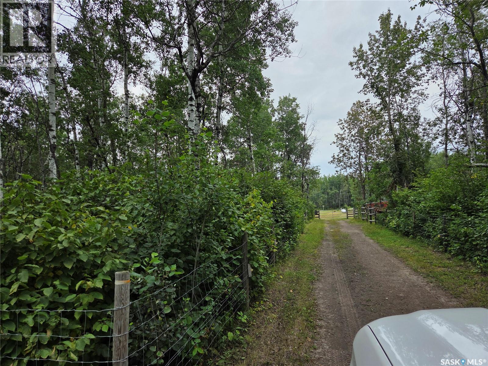 Reine Acreage, Tisdale Rm No. 427, Saskatchewan  S0E 1T0 - Photo 59 - SK046106