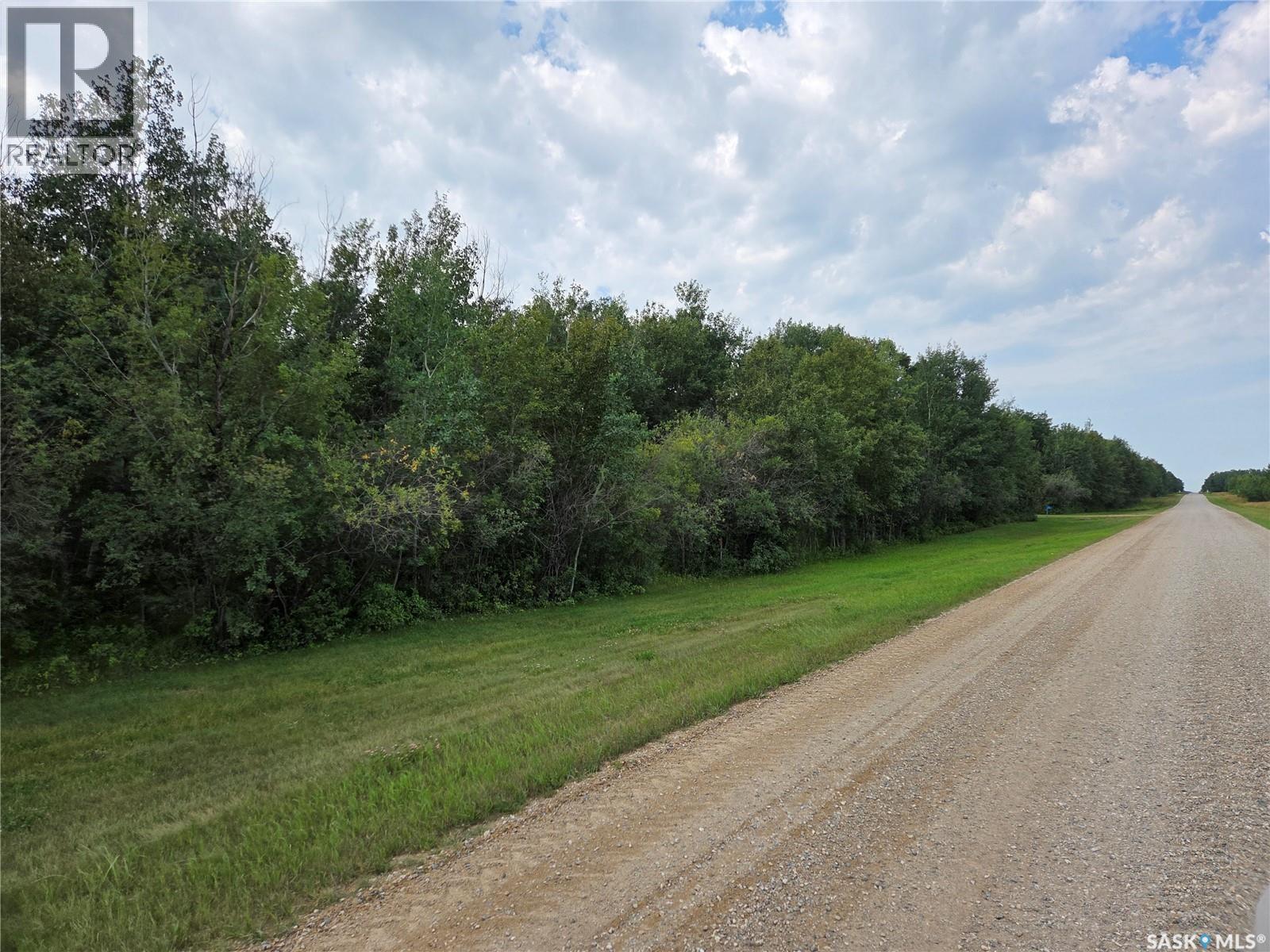 Reine Acreage, Tisdale Rm No. 427, Saskatchewan  S0E 1T0 - Photo 60 - SK046106