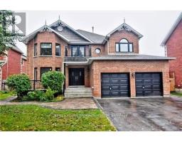 BSMT - 37 GROVEPARK STREET, Richmond Hill, Ontario