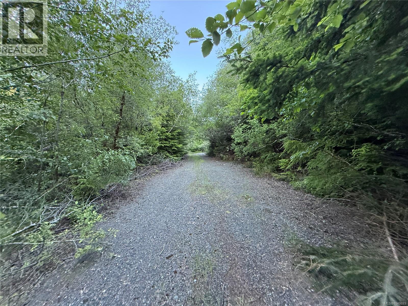 Dl 1501 Benson Lake, Port Alice, British Columbia  V0N 2N0 - Photo 6 - 1040693
