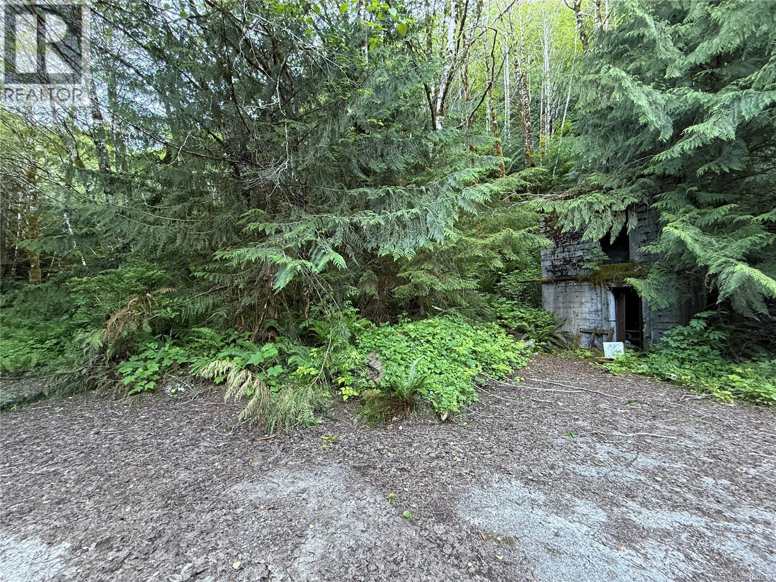 Dl 1501 Benson Lake, Port Alice, British Columbia  V0N 2N0 - Photo 4 - 1040693