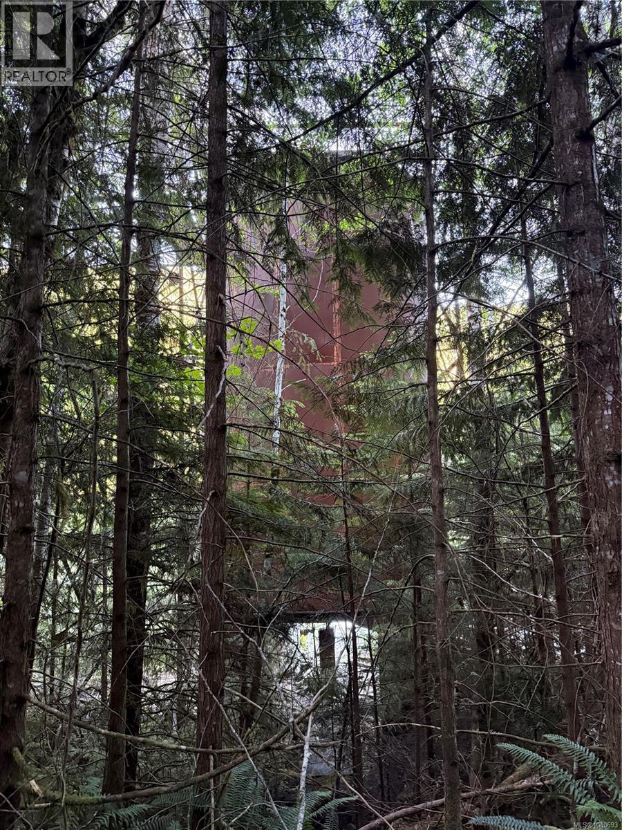 Dl 1501 Benson Lake, Port Alice, British Columbia  V0N 2N0 - Photo 11 - 1040693