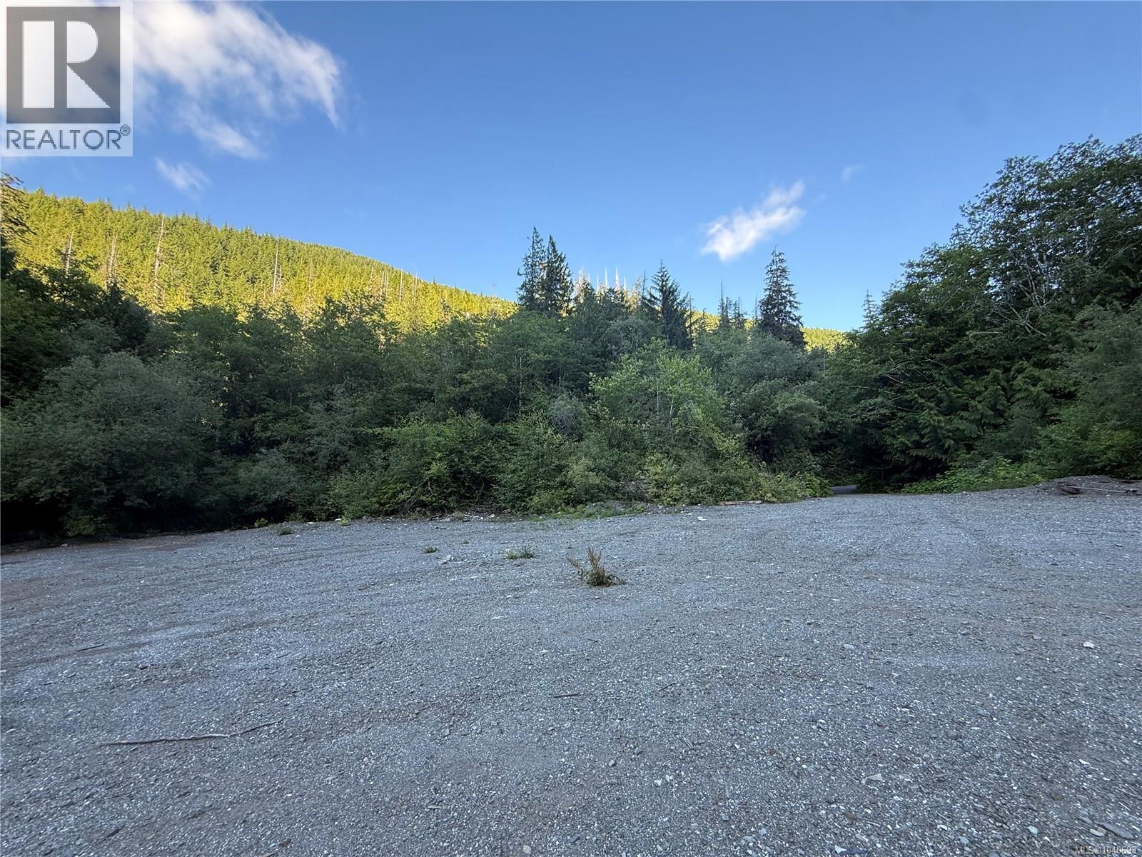 Dl 1501 Benson Lake, Port Alice, British Columbia  V0N 2N0 - Photo 2 - 1040693
