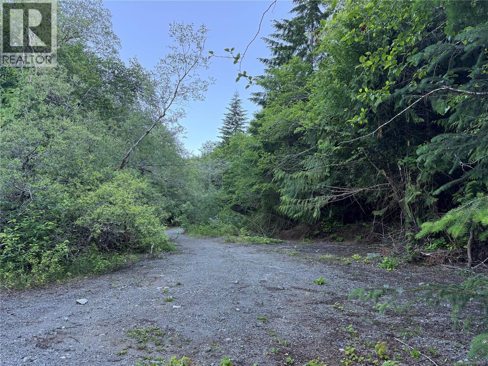 Dl 1501 Benson Lake, Port Alice, British Columbia  V0N 2N0 - Photo 10 - 1040693