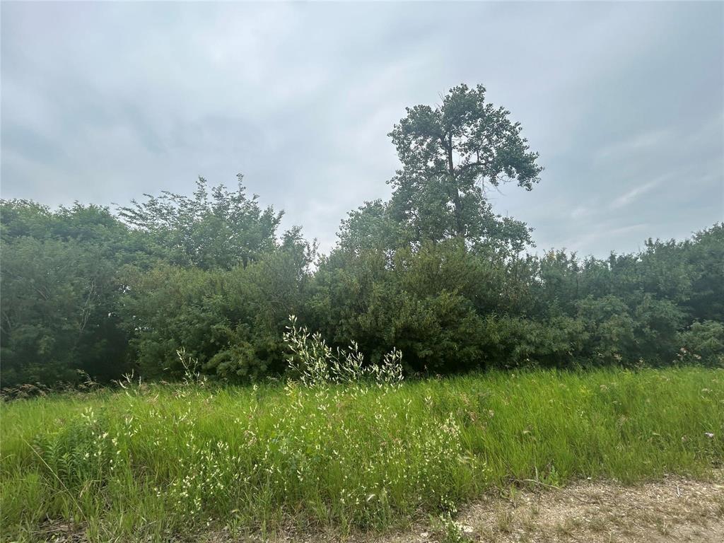 Unknown Address, Rm Of Elton, Manitoba  R0K 1C0 - Photo 2 - 202620965