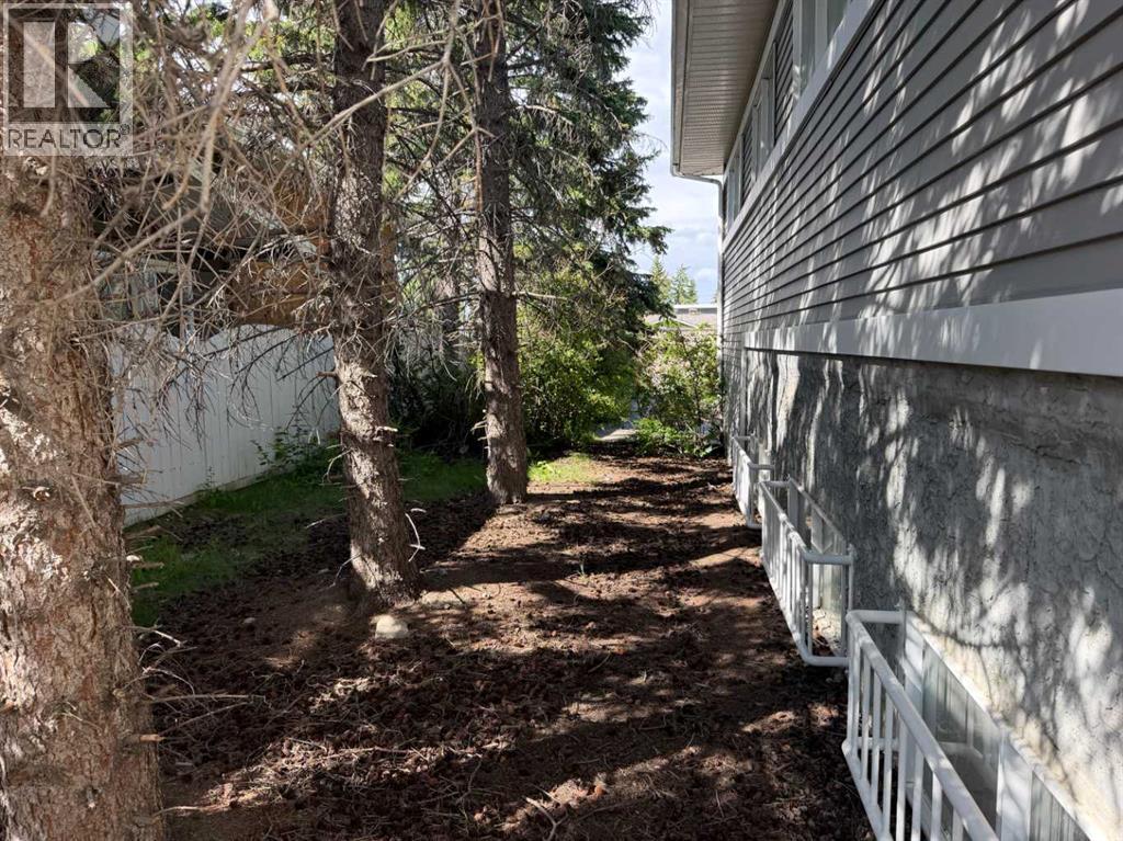 4131 Bow Trail SW, Calgary, Alberta  T3C 2E9 - Photo 7 - A2322848