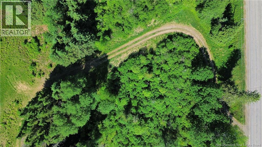 760 385 Route, Sisson Brook, New Brunswick  E7G 3M3 - Photo 16 - NB141778