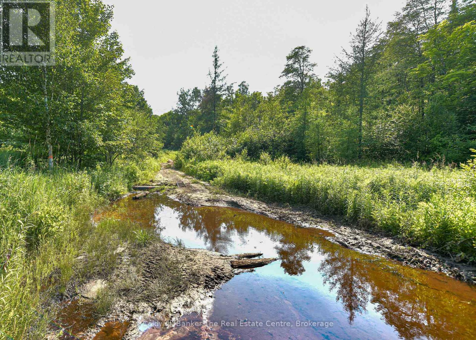 1121 Beiers Road, Gravenhurst, Ontario  P0E 1G0 - Photo 28 - X13696556