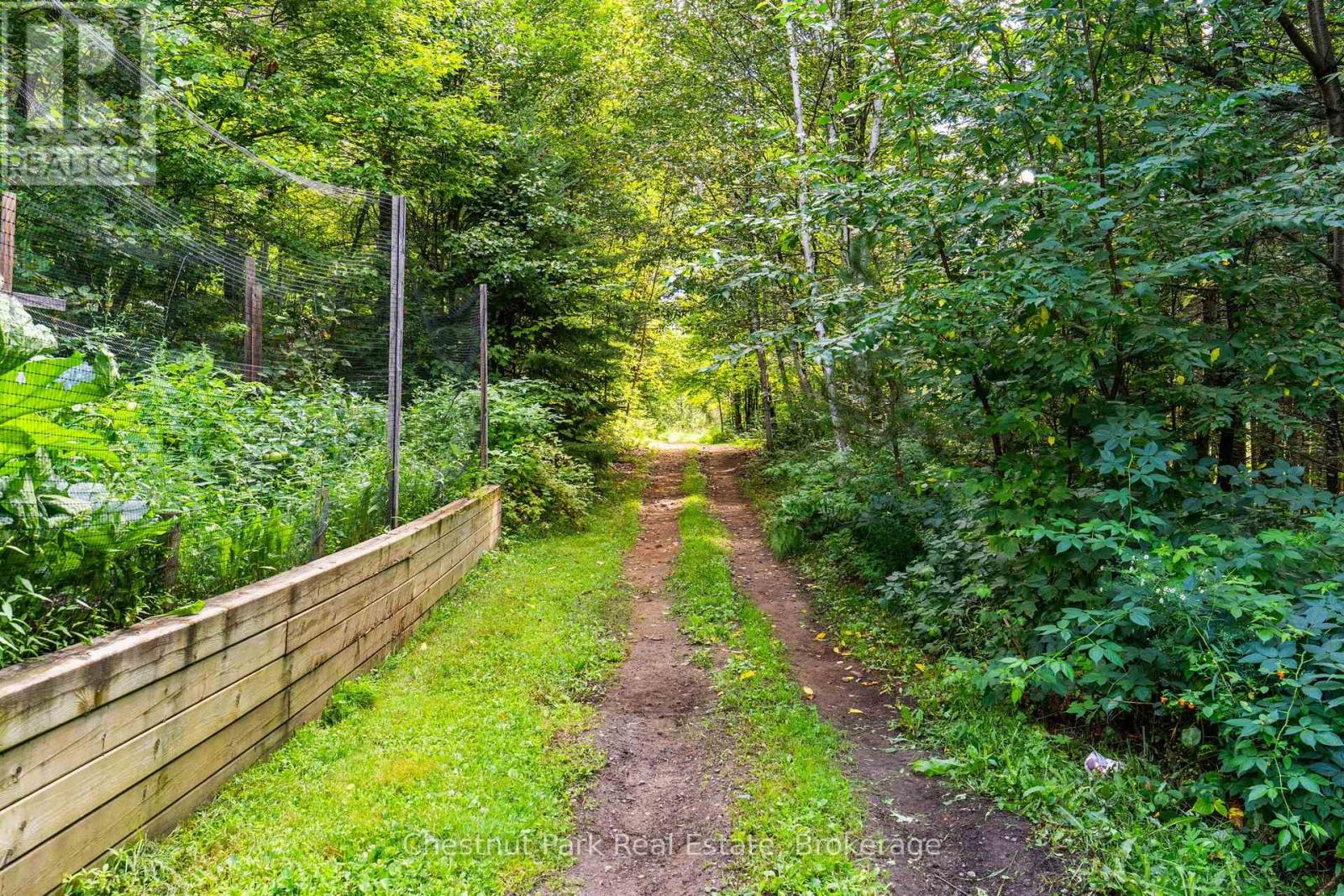 521 Old Muskoka Road, Huntsville, Ontario  P1H 0G8 - Photo 36 - X13696680
