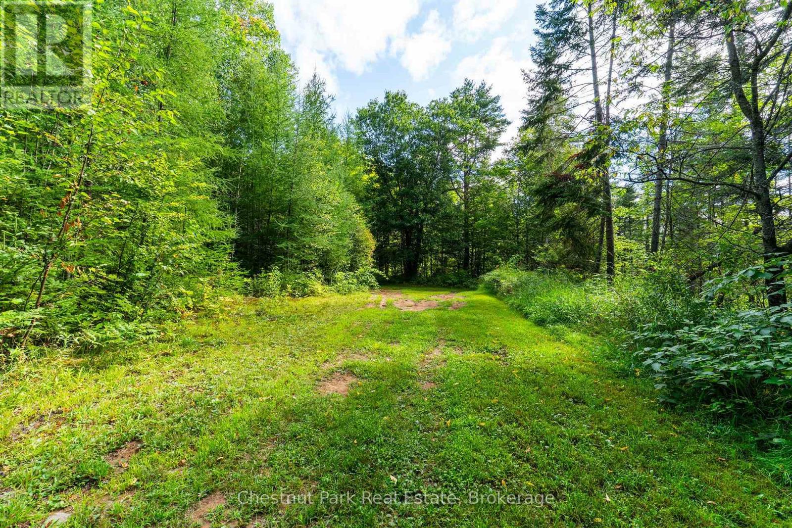 521 Old Muskoka Road, Huntsville, Ontario  P1H 0G8 - Photo 37 - X13696680