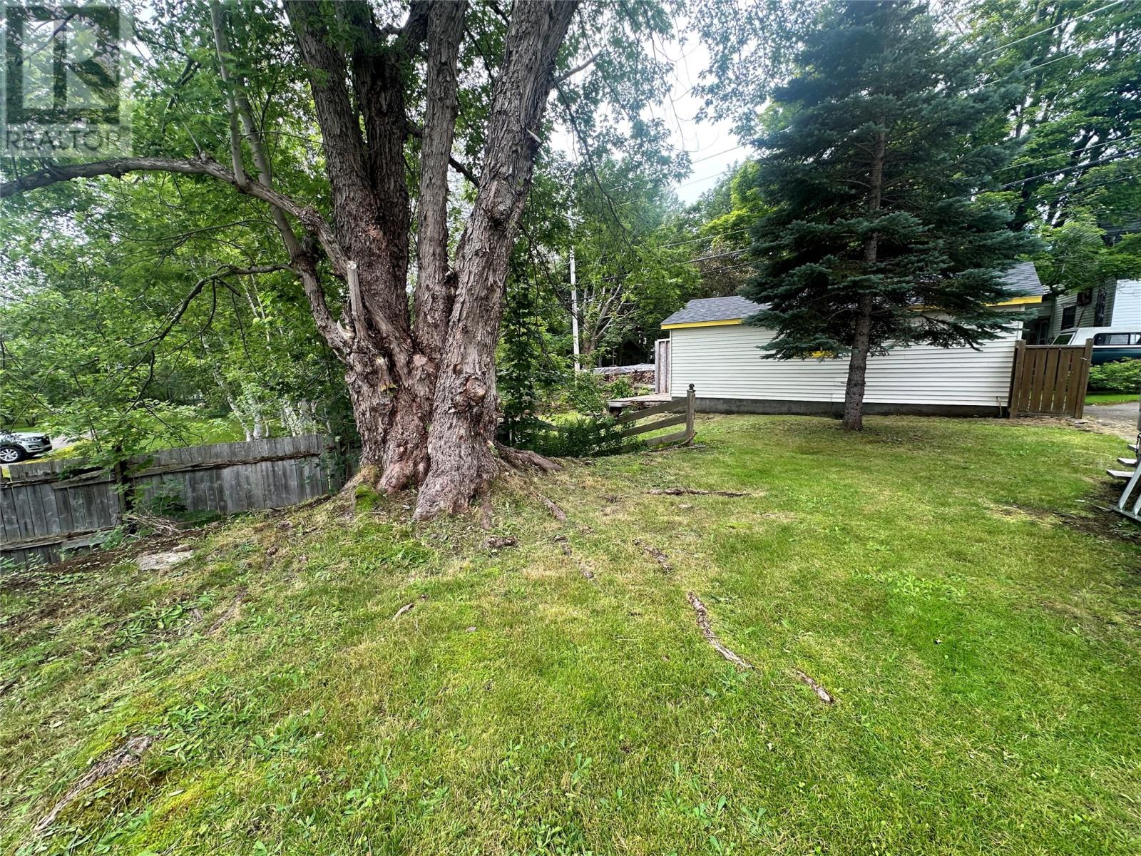 6 Hill Road, Grand Falls-Windsor — photo 15