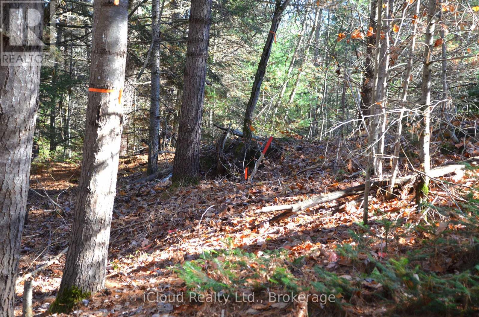 3 Parker Bay Road, Whitestone, Ontario  P0A 1G0 - Photo 26 - X13696504