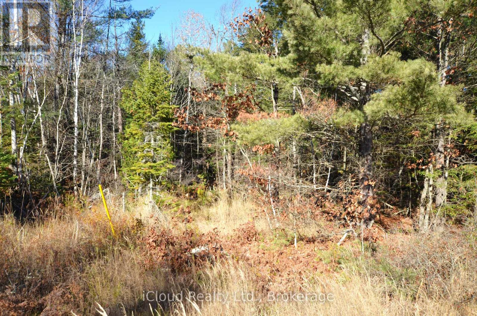 2 And 3 Parker Bay Road, Whitestone, Ontario  P0A 1G0 - Photo 32 - X13696514