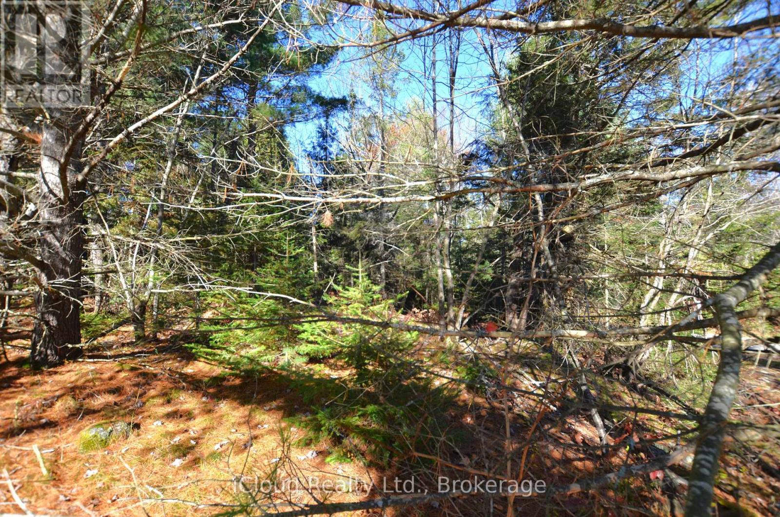 2 And 3 Parker Bay Road, Whitestone, Ontario  P0A 1G0 - Photo 5 - X13696514