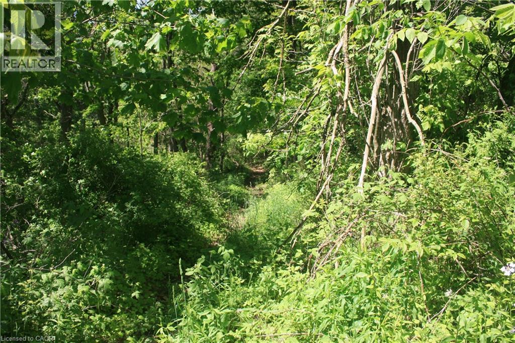 6349a Plank Road, Vienna, Ontario  N0J 1Z0 - Photo 11 - 40794737