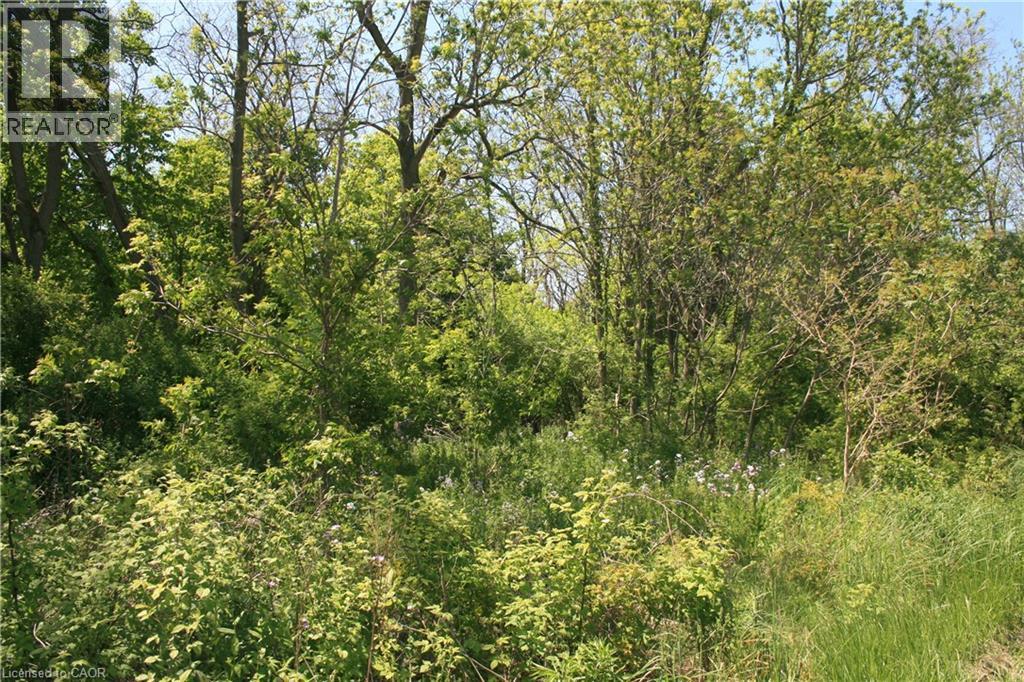 6349a Plank Road, Vienna, Ontario  N0J 1Z0 - Photo 9 - 40794737