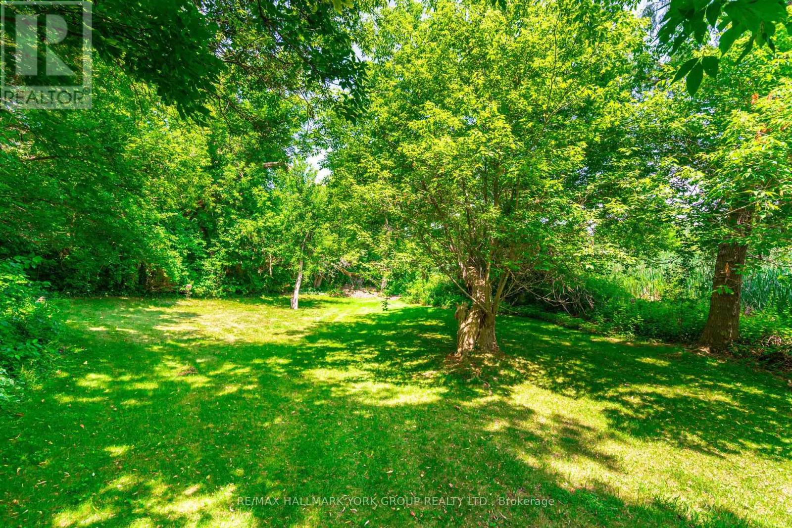 390 Main Street, King (Schomberg), Ontario L0G 1T0 - Photo 42 - N13696838