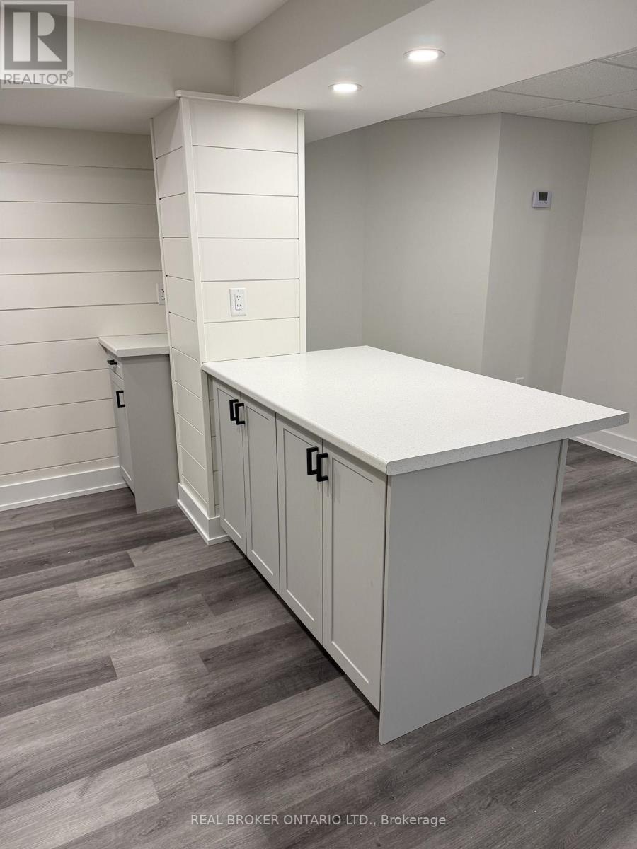 Basement - 110 Melrose Avenue, Barrie, Ontario  L4M 2B3 - Photo 6 - S13696808