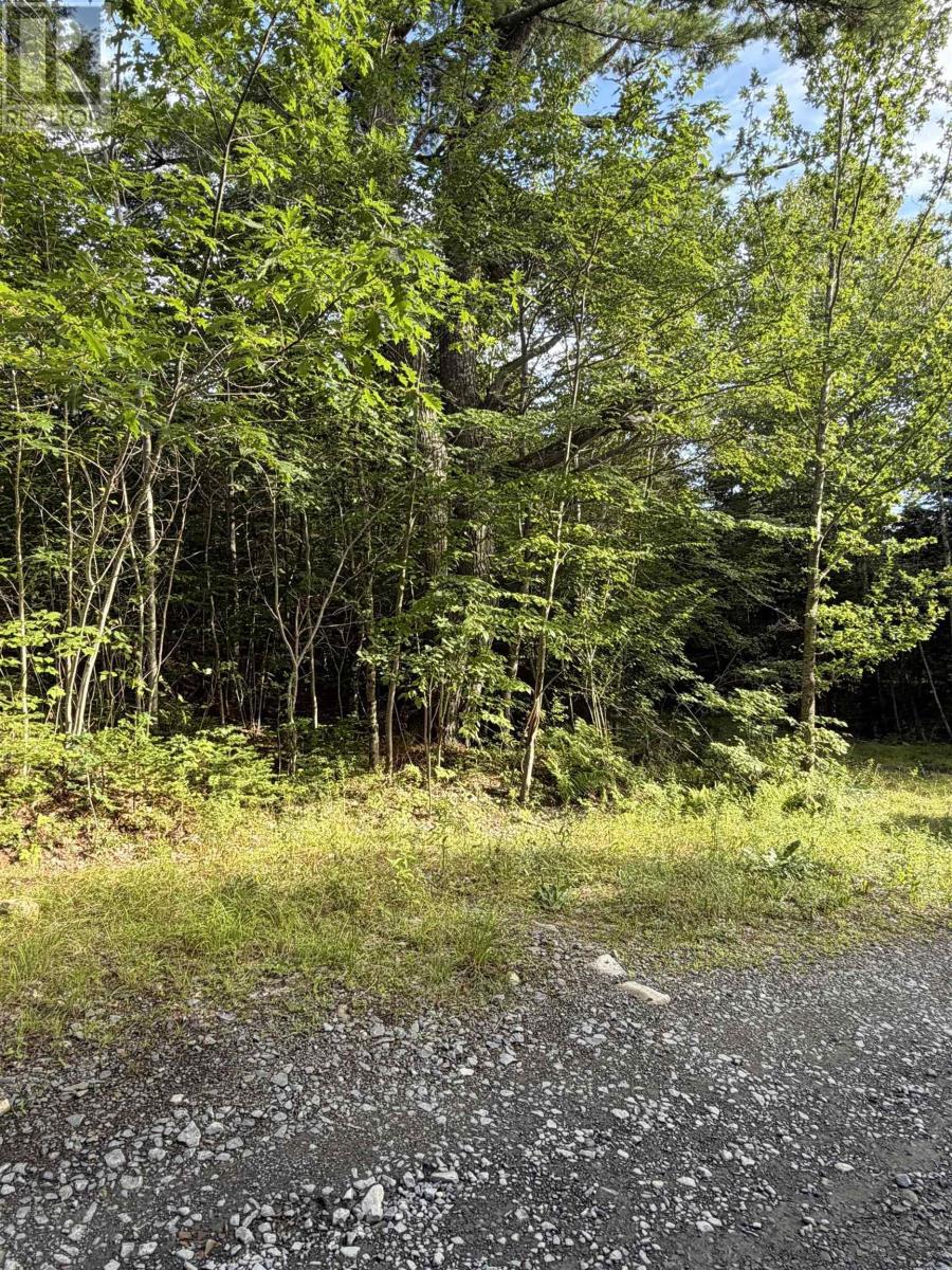 Lot North Uniacke Lake Road, Mount Uniacke, Nova Scotia  B0N 1Z0 - Photo 4 - 202621127