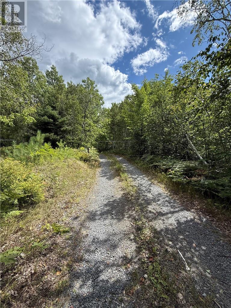 378 Courtemache, Greater Sudbury, Ontario  P3N 1L5 - Photo 13 - 2129902