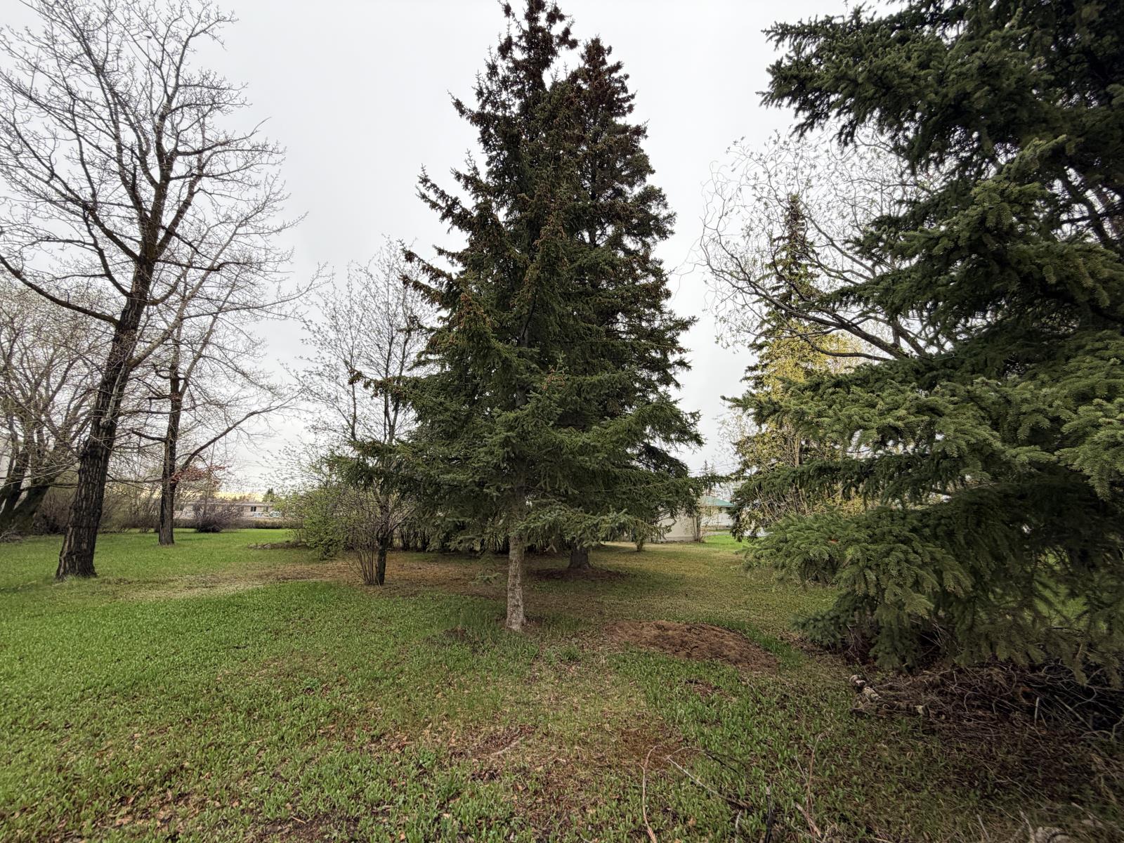 Unknown Address, Rural Westlock County, Alberta  T7P 1L3 - Photo 16 - 44890444