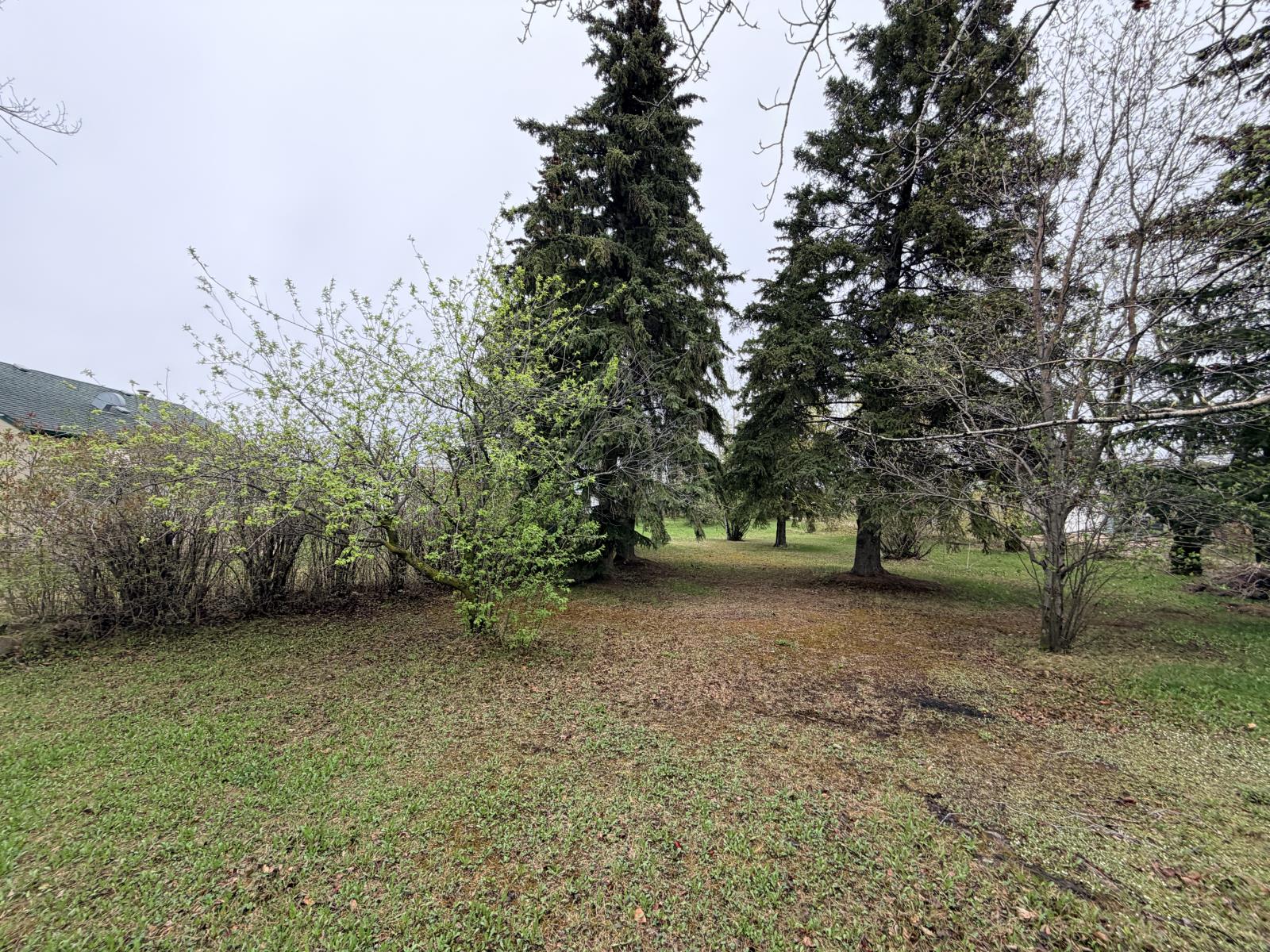 Unknown Address, Rural Westlock County, Alberta  T7P 1L3 - Photo 15 - 44890444