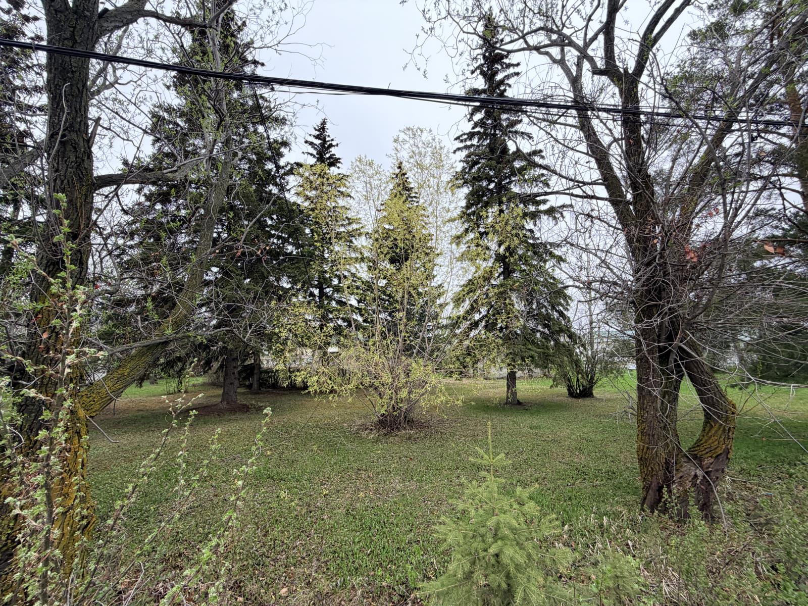 Unknown Address, Rural Westlock County, Alberta  T7P 1L3 - Photo 18 - 44890444