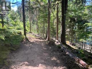 5621 Highway 23, Nakusp, British Columbia V0G 1R1 - Photo 25 - 2472858