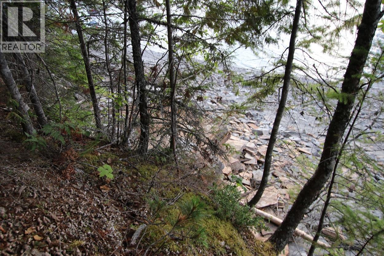 5621 Highway 23, Nakusp, British Columbia V0G 1R1 - Photo 3 - 2472858